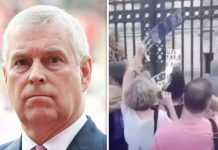 Prince Andrew under pressure after protests outside Buckingham Palace | Royal | News (Reports)