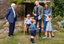 Prince George, Charlotte & Louis: Sir David Attenborough opens up on meeting young royals | Royal | News (Reports)