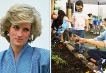 Prince Harry and Meghan Markle: Touching way Sussexes continue to pay tribute to Diana | Royal | News (Reports)