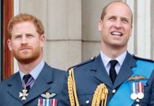 Prince Harry and Prince William ‘speaking more than they did’ after ‘rocky path’ | Royal | News (Reports)
