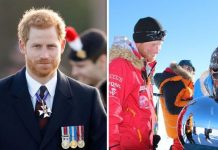 Prince Harry breathed life into Armed Forces charity: ‘It changed everything!’ | Royal | News (Reports)