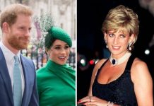Prince Harry ‘fulfilling destiny left by Diana’ with Meghan in new California life | Royal | News (Reports)