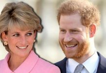 Prince Harry heartbreak: How Harry fulfilled his mother’s wishes as he hits milestone | Royal | News (Reports)