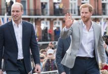 Prince Harry news: Cambridge ‘feud’ could be ended by coronavirus crisis says expert | Royal | News (Reports)