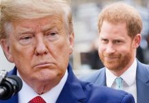 Prince Harry news: Duke of Sussex told to stay out of the 2020 Presidential US election | Royal | News (Reports)