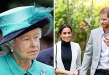 Prince Harry risked stern rebuke from Queen after he broke royal protocol for Meghan | Royal | News (Reports)