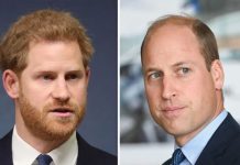 Prince Harry to speak to William after fall out as they mark ‘poignant Diana moment’ | Royal | News (Reports)
