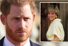 Prince Harry urged to ‘stand alone’ from Meghan and speak against Netflix’s Diana musical | Royal | News (Reports)