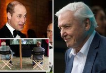 Prince William and David Attenborough make hilarious joke during documentary preview | Royal | News (Reports)