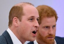 Prince William’s confession about relationship with Prince Harry: ‘Revenge is sweet’ | Royal | News (Reports)