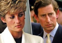 Princess Diana heartbreak: Prince Charles ‘most hurtful’ insult to Diana in row exposed | Royal | News (Reports)