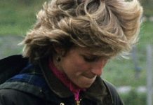 Princess Diana humiliated: Royal ‘made to feel terrible’ as no support shown after mistake | Royal | News (Reports)