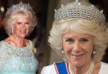 Queen Camilla: Will Camilla ever be Queen? | Royal | News (Reports)
