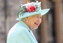 Queen Elizabeth II family tree: How many grandchildren does the Queen have? | Royal | News (Reports)