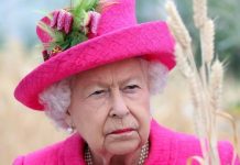 Queen Elizabeth II news: Monarch ‘furious’ as staff mutiny threatens Christmas plans | Royal | News (Reports)