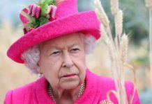Queen Elizabeth II to be ditched as Barbados head of state by NEXT YEAR | Royal | News (Reports)