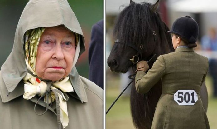 Queen heartbreak at tragic death of five adored Balmoral ponies | Royal | News