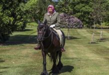 Queen’s indulgence: Brilliant response to ‘nervous’ probe shows true love of horses | Royal | News (Reports)