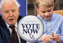 Royal POLL: Should Prince George give back ancient tooth gifted by Attenborough? VOTE | Royal | News (Reports)
