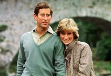 Royal history rewritten? Diana claimed in honeymoon letters she ‘couldn’t be happier’ | Royal | News (Reports)