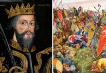Royal history rewritten: Harold was ‘NOT shot in eye’ when William the Conqueror invaded | Royal | News (Reports)