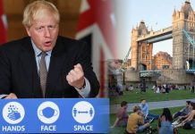 Rule of 6 breach: How to report people for breaking new rule of 6 law | UK | News (Reports)