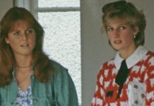 Sarah Ferguson news: Diana’s ’emotionally cruel’ action that destroyed royal bond exposed | Royal | News (Reports)