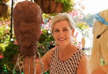 Sophie Wessex makes royal first with special engagement for charity close to heart | Royal | News (Reports)