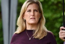 Sophie Wessex news: Royal’s ‘naive’ move backfired into brutal Royal Family shame | Royal | News (Reports)