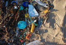 Start of ban on plastic straws, stirrers and cotton buds