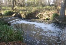 Sussex college fined £50,000 for slurry pollution