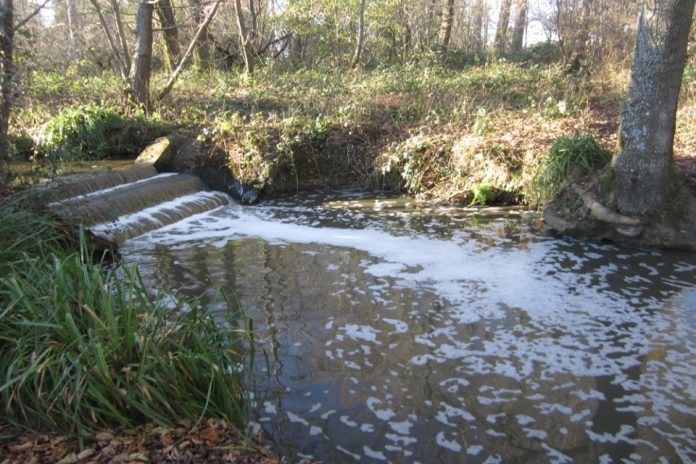 Sussex college fined £50,000 for slurry pollution