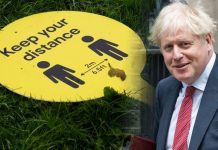 UK lockdown poll RESULTS: Should the UK go into a second nationwide lockdown? | UK | News (Reports)