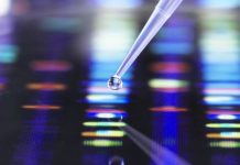 When was DNA testing first used by the police? | UK | News (Reports)