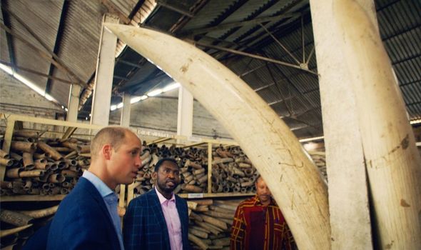 prince william documentary david attenborough 
