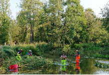Joint restoration project on River Avon helps improve habitat diversity