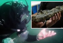 Archaeology news: ‘Treasure trove from another age’ discovered in submerged ‘ghost town’ | UK | News (Reports)