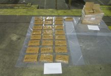 Border Force seizes 30 kilos of cocaine at Dover