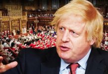 Brexit betrayal: Lib Dem peers warned not to pull ‘cheap political stunt’ | UK | News (Reports)