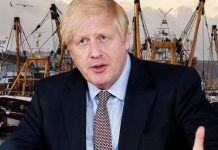 Brexit fishing news: Boris issued urgent warning by UK fishermen – we’ll be WIPED OUT | UK | News (Reports)