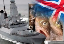 Brexit fishing nightmare: Cod Wars with Iceland ‘to return as EU row erupts’ | UK | News (Reports)
