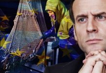 Brexit fury: Truth behind Macron’s ‘aggressive’ fishing stance laid bare | UK | News (Reports)
