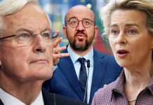 Brexit panic: EU’s negotiating tactics unravelled as ‘lack of good will’ | UK | News (Reports)