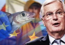 Brexit talks on brink of collapse after Michel Barnier ‘caved to EU fishing demands’ | UK | News (Reports)