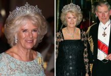 Camilla heartbreak: Family’s crippling worries about Prince Charles taking throne | Royal | News (Reports)