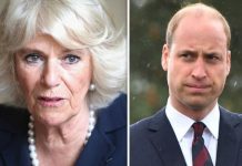 Camilla news: Prince William left Duchess ‘trembling like a leaf’ after first meeting | Royal | News (Reports)