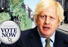 Coronavirus lockdown POLL: As No10 and SAGE clash, what system would YOU support? | UK | News (Reports)