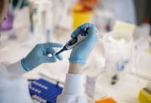 Coronavirus news: ‘More than one vaccine’ available by early 2021 – Sage scientist | UK | News (Reports)