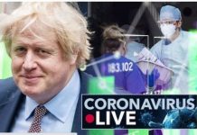 Coronavirus news: Scientists issue warning as Covid mutation could be more infectious | UK | News (Reports)