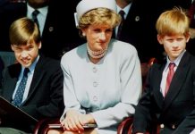 Diana’s regret exposed as royal ‘worried’ Harry and William would be ’embarrassed’ of her | Royal | News (Reports)